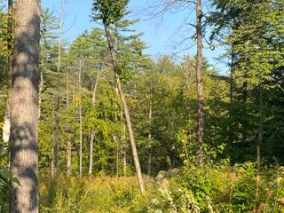 17 Autumn Road, Hillsborough, NH 03244