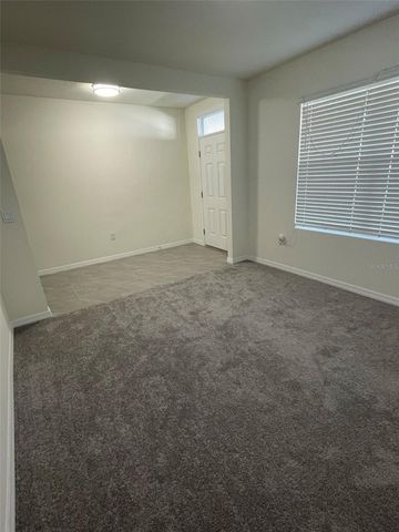 15596 BLACK PEPPER LANE, Odessa, FL 33556