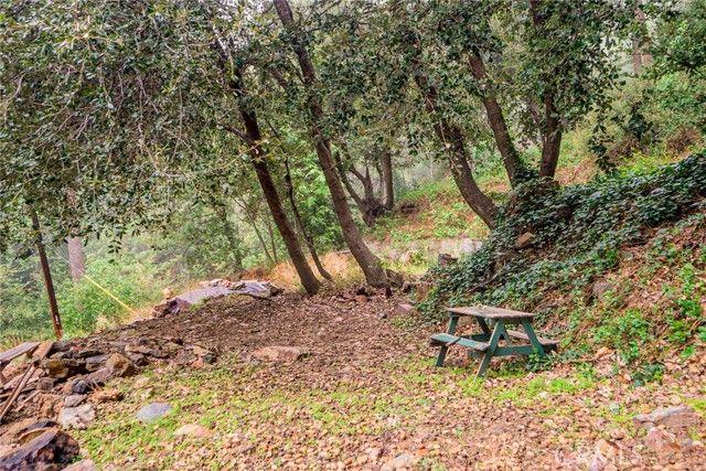 16 Barrett, Mt Baldy, CA 91759