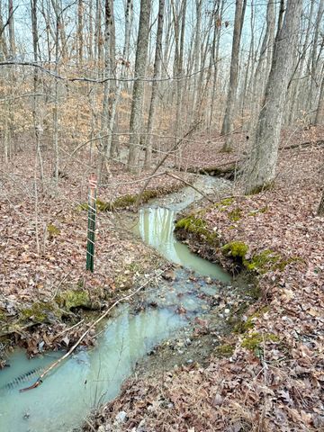 0 Sam Baughman Road, Stanford, KY 40484