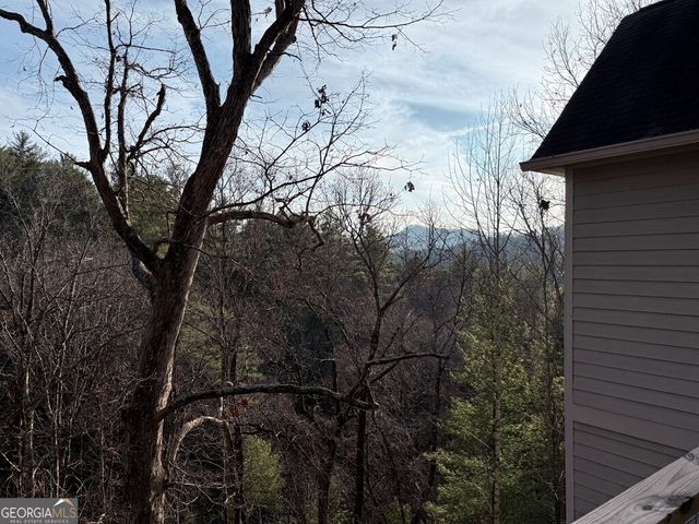 62 Crooked Branch Drive, Clayton, GA 30525