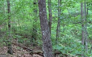 LOT 18 Bruce Mountain, Blairsville, GA 30512