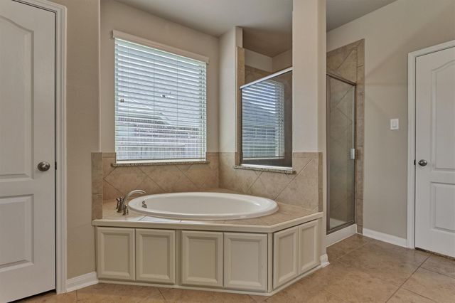 1219 Night Owl Court, Conroe, TX 77385