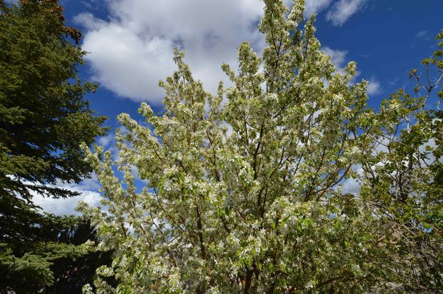 1606 HACKNEY DR, Laramie, WY 82070