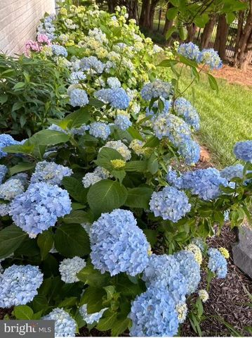 1119 SUNSET DR, Bel Air, MD 21014