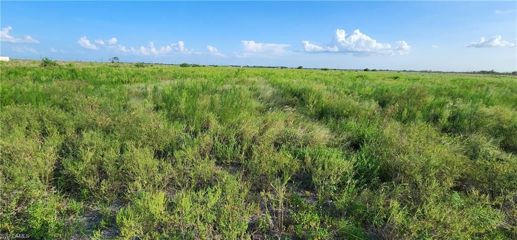 6875 7th RD, LABELLE, FL 33935 — photo 4