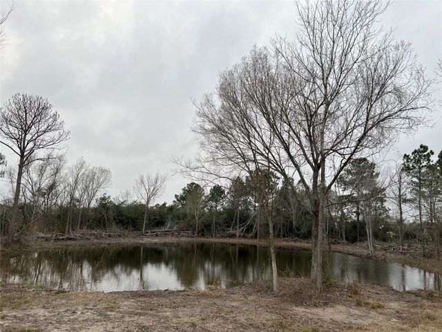 2450 Roy Road, Pearland, TX 77581