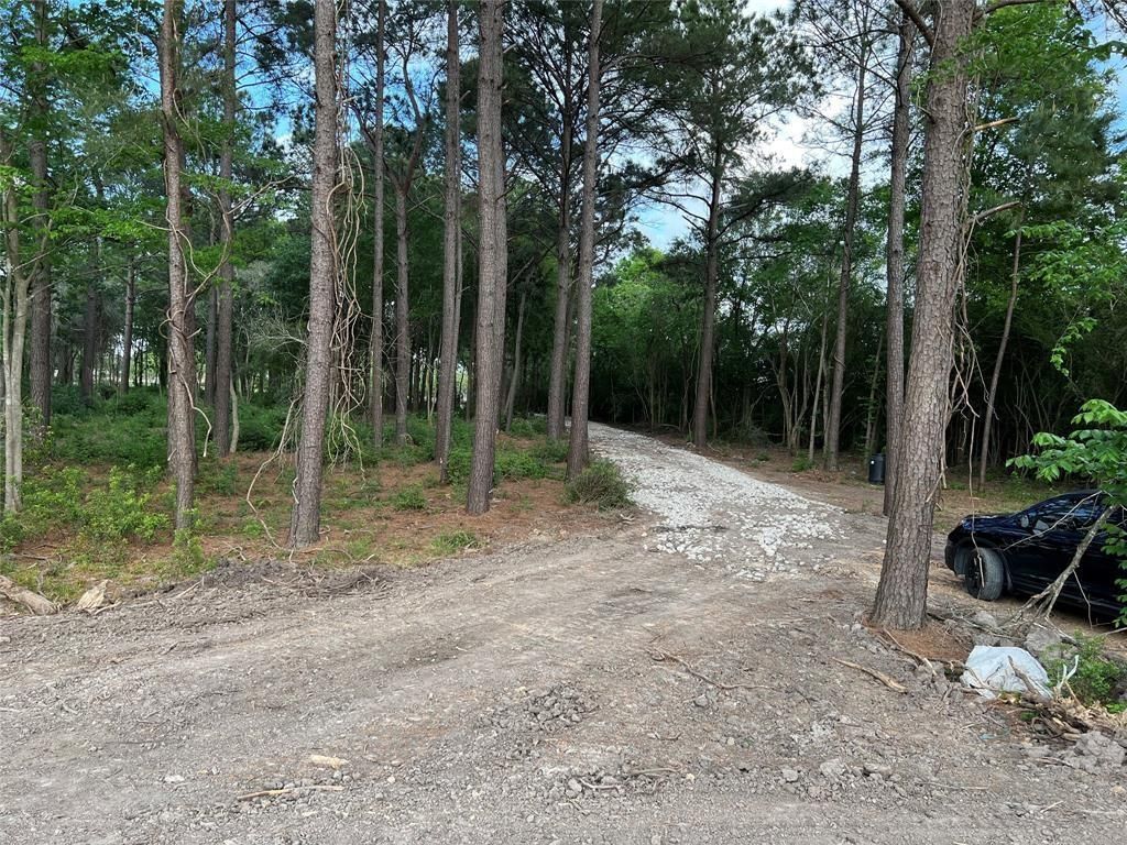 2450 Roy Road, Pearland, TX 77581