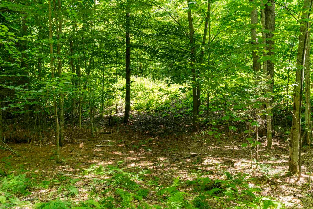 TBD Taylor Road # 9, Duxbury, VT 05660