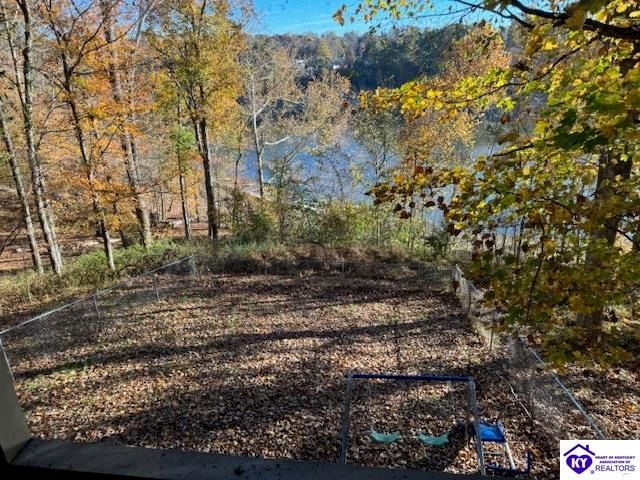 1124 Spring Shores Lane, Falls Of Rough, KY 40119