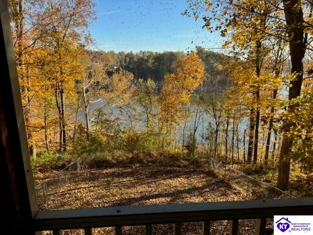 1124 Spring Shores Lane, Falls Of Rough, KY 40119