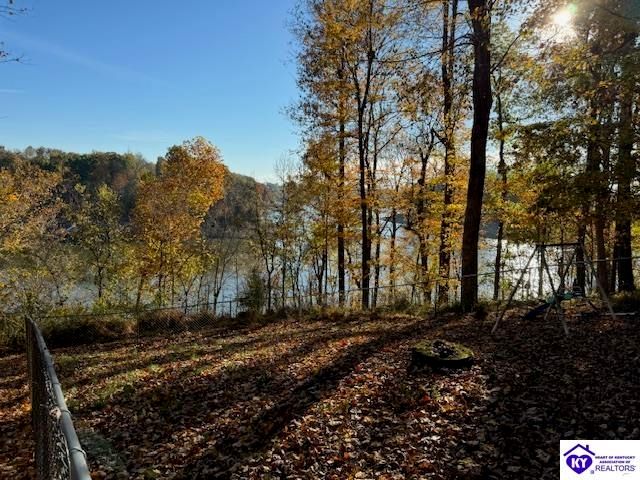 1124 Spring Shores Lane, Falls Of Rough, KY 40119