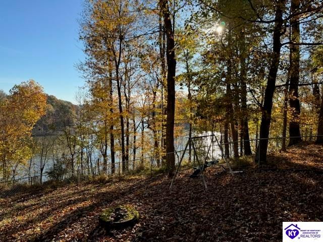 1124 Spring Shores Lane, Falls Of Rough, KY 40119