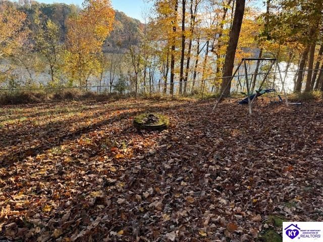 1124 Spring Shores Lane, Falls Of Rough, KY 40119