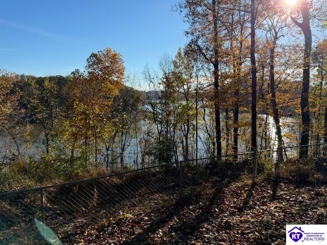 1124 Spring Shores Lane, Falls Of Rough, KY 40119