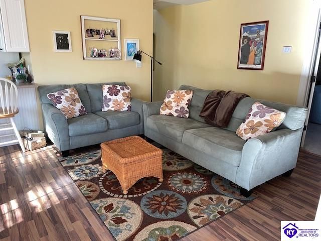 1124 Spring Shores Lane, Falls Of Rough, KY 40119