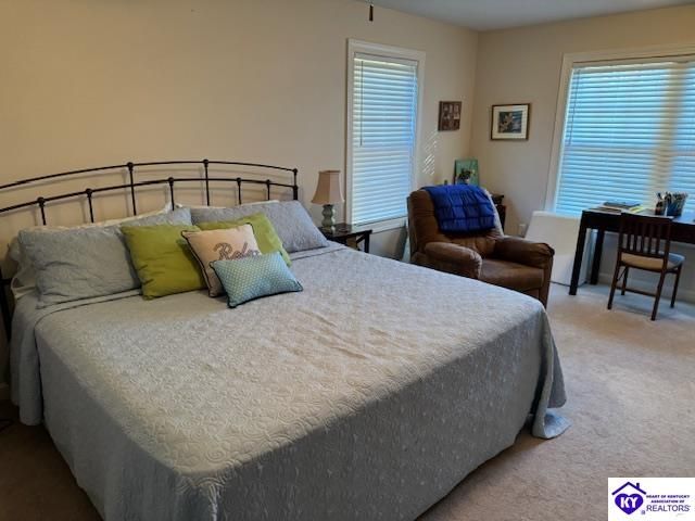 1124 Spring Shores Lane, Falls Of Rough, KY 40119