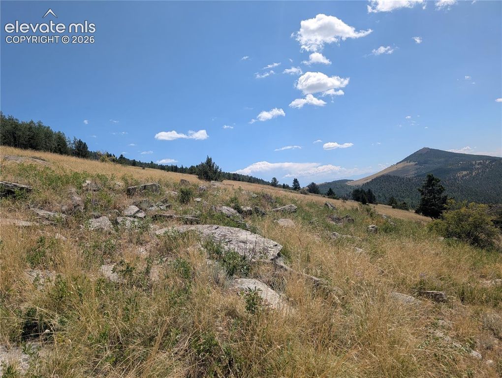 Mystic Valley Heights, Cripple Creek, CO 80813 — photo 2