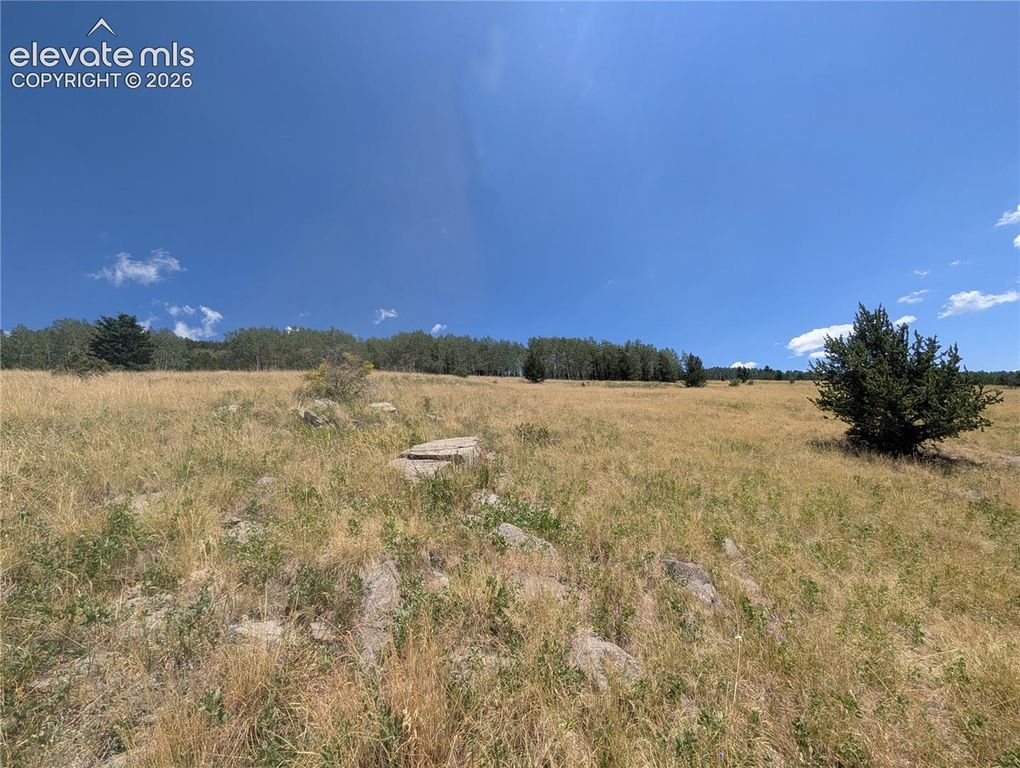 Mystic Valley Heights, Cripple Creek, CO 80813 — photo 3