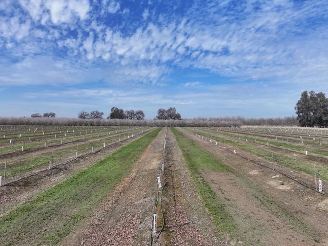 0 E Mount Whitney Avenue, Laton, CA 93242