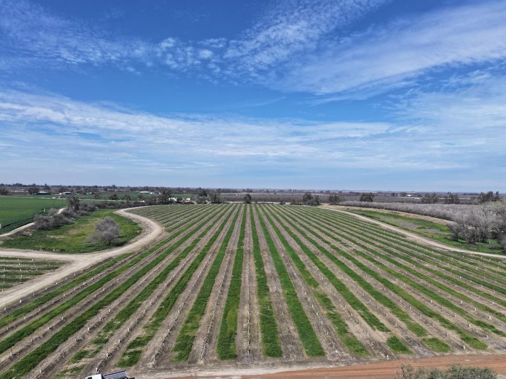 Image 5 of property listing at 0 E Mount Whitney Avenue, Laton, CA 93242