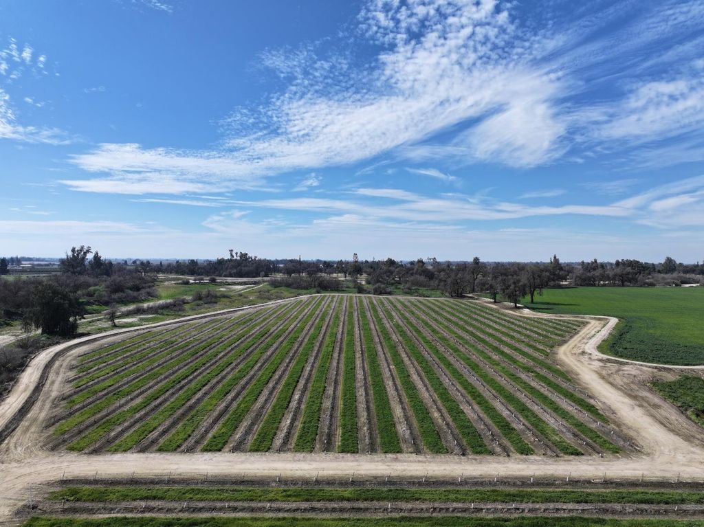 Image 6 of property listing at 0 E Mount Whitney Avenue, Laton, CA 93242