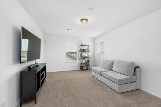 1259 Tilia Creek Lane, Montgomery, TX 77316