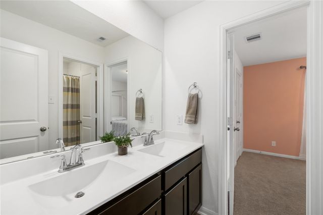 1259 Tilia Creek Lane, Montgomery, TX 77316