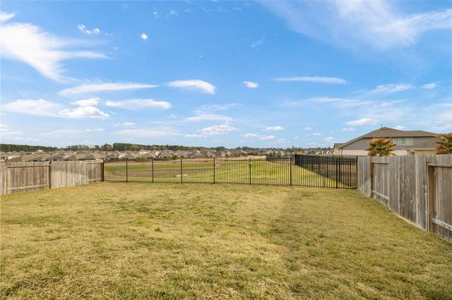 1259 Tilia Creek Lane, Montgomery, TX 77316