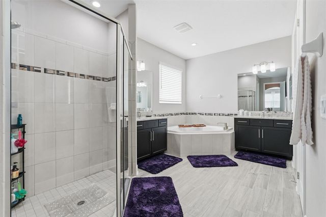 11002 SUNDRIFT DRIVE, Tampa, FL 33647