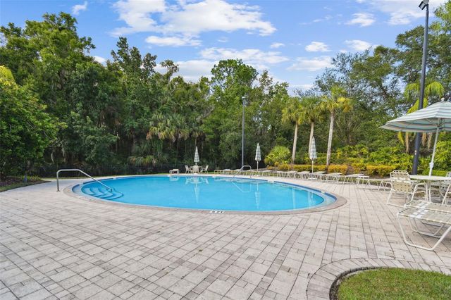 11002 SUNDRIFT DRIVE, Tampa, FL 33647