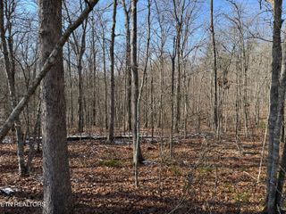 Belmont Circle, Monterey, TN 38574