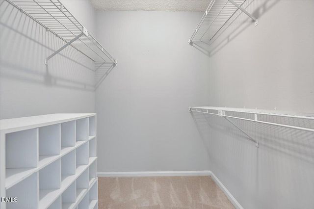 7802 Falcon Rest Circle, Raleigh, NC 27615