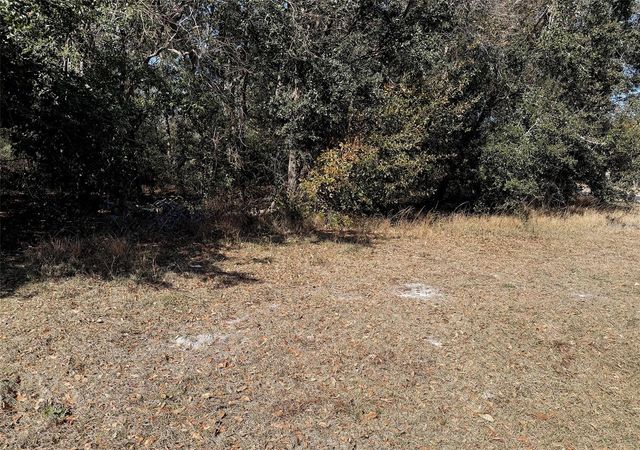 918 LOQUAT TREE ROAD, Orlando, FL 32811