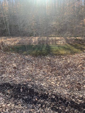 1252 Kelly Rd, Centerville, TN 37033