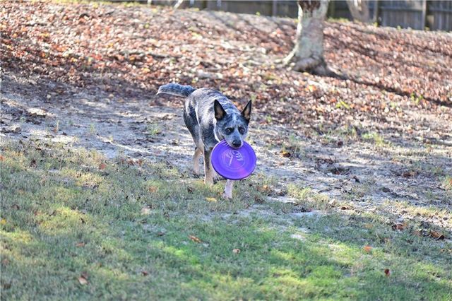 5730 Boulder Ridge Court, Flowery Branch, GA 30542