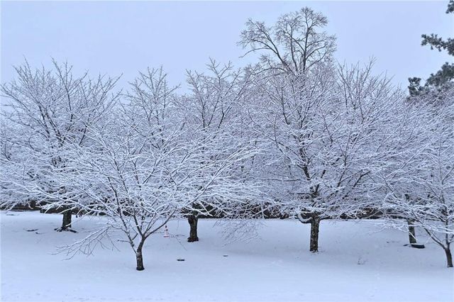 5730 Boulder Ridge Court, Flowery Branch, GA 30542