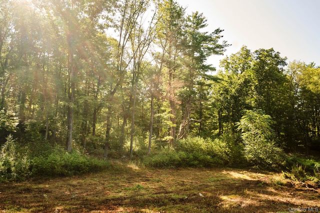 60 Stone Wall Path, Red Hook, NY 12571