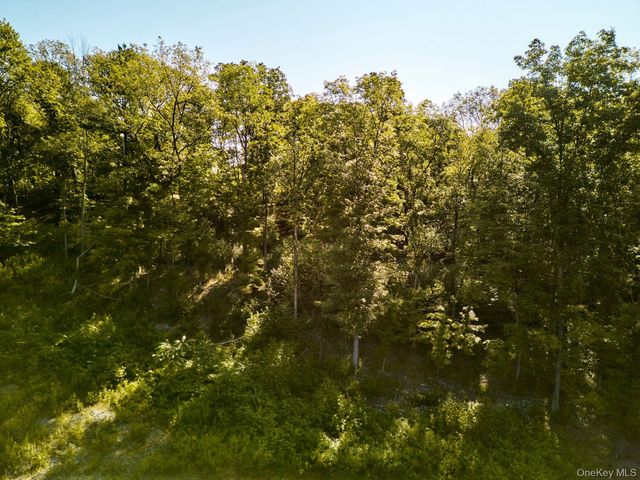 60 Stone Wall Path, Red Hook, NY 12571