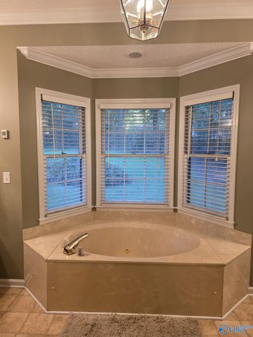 119 Hartington Drive, Madison, AL 35758