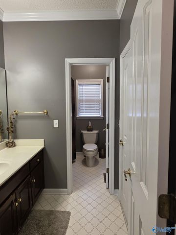119 Hartington Drive, Madison, AL 35758