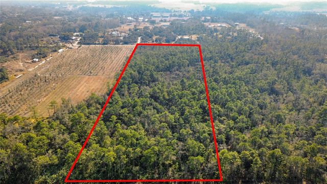 E COLONIAL DRIVE, Christmas, FL 32709