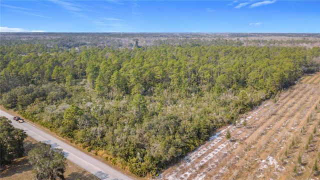 E COLONIAL DRIVE, Christmas, FL 32709