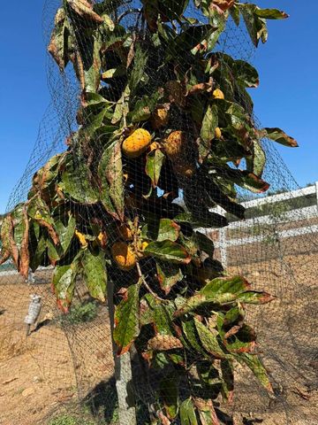 30606 Falling Star Circle, Valley Center, CA 92082