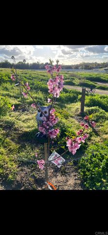 30606 Falling Star Circle, Valley Center, CA 92082