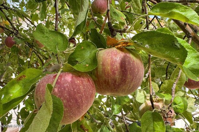 5658 Cranberry Court, Sun Valley, NV 89433