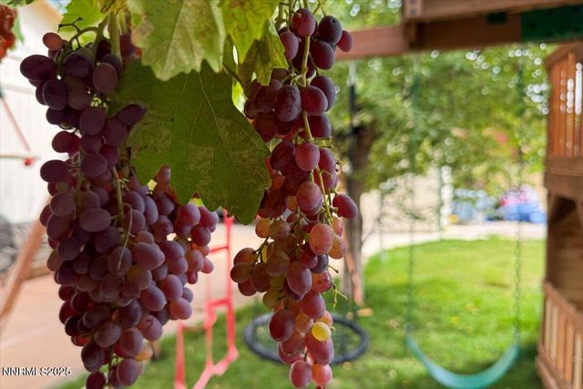 5658 Cranberry Court, Sun Valley, NV 89433