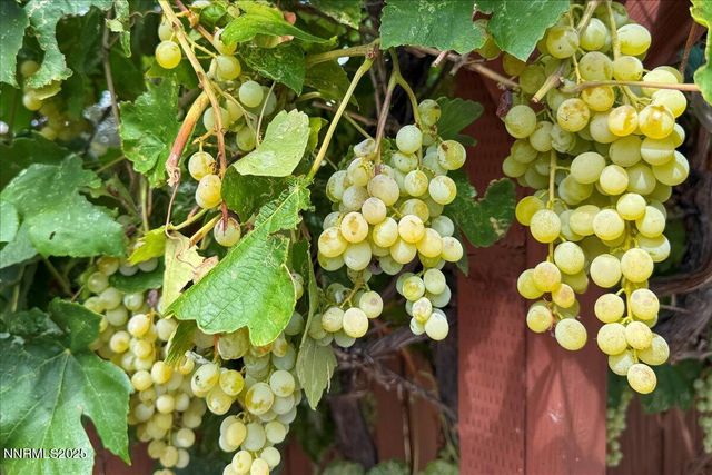 5658 Cranberry Court, Sun Valley, NV 89433