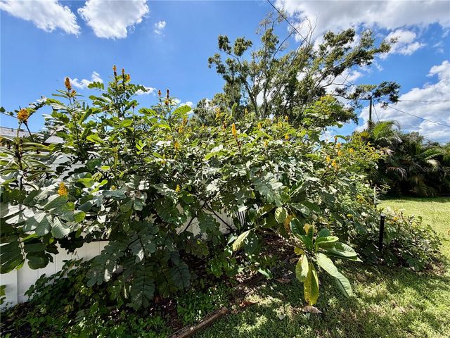 4100 45TH AVENUE N, St Petersburg, FL 33714