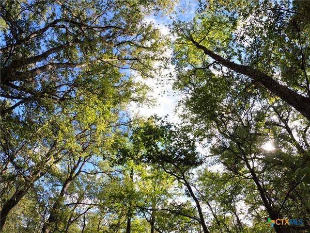 15010 Rosanky Road, Holland, TX 76534